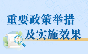 重要政策措施及實(shí)施效果