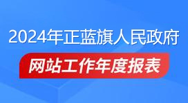 政府網(wǎng)站年度工作報(bào)表
