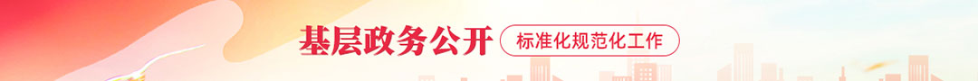 基層政府信息公開目錄